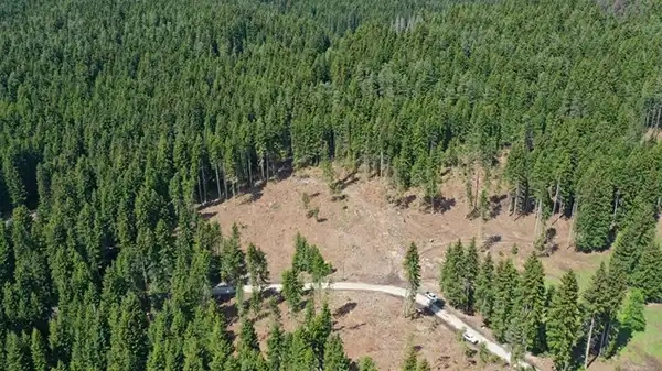 11 ilde orman alanları sınır dışına çıkarıldı: CHP'den sert tepki