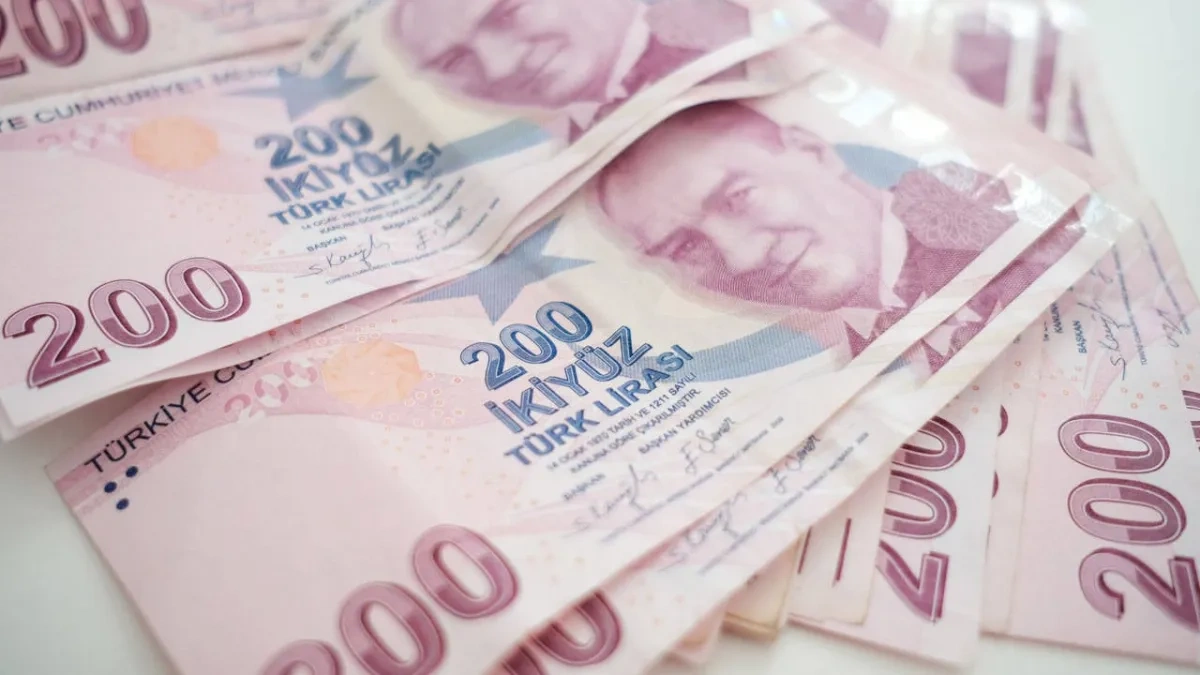 200 Lira'nın arkasındaki isim: Yunus Emre'nin hikayesi