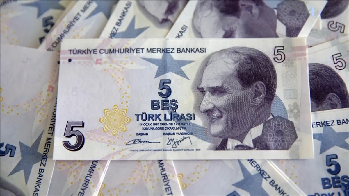 5 Lira'nın arkasındaki isim: Bilim tarihçisi Aydın Sayılı