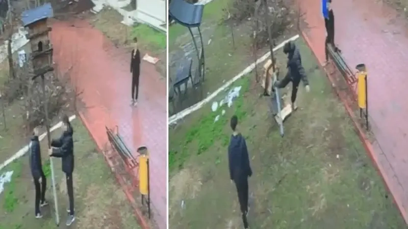 Adana'da çocuklar kuş yuvasını yıktı