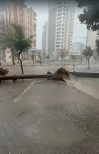 Adana'yı fırtına vurdu: Ağaçlar araçların üzerine devrildi