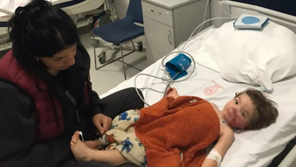 Ankara'da pitbull saldırısı: 2 çocuk yaralandı