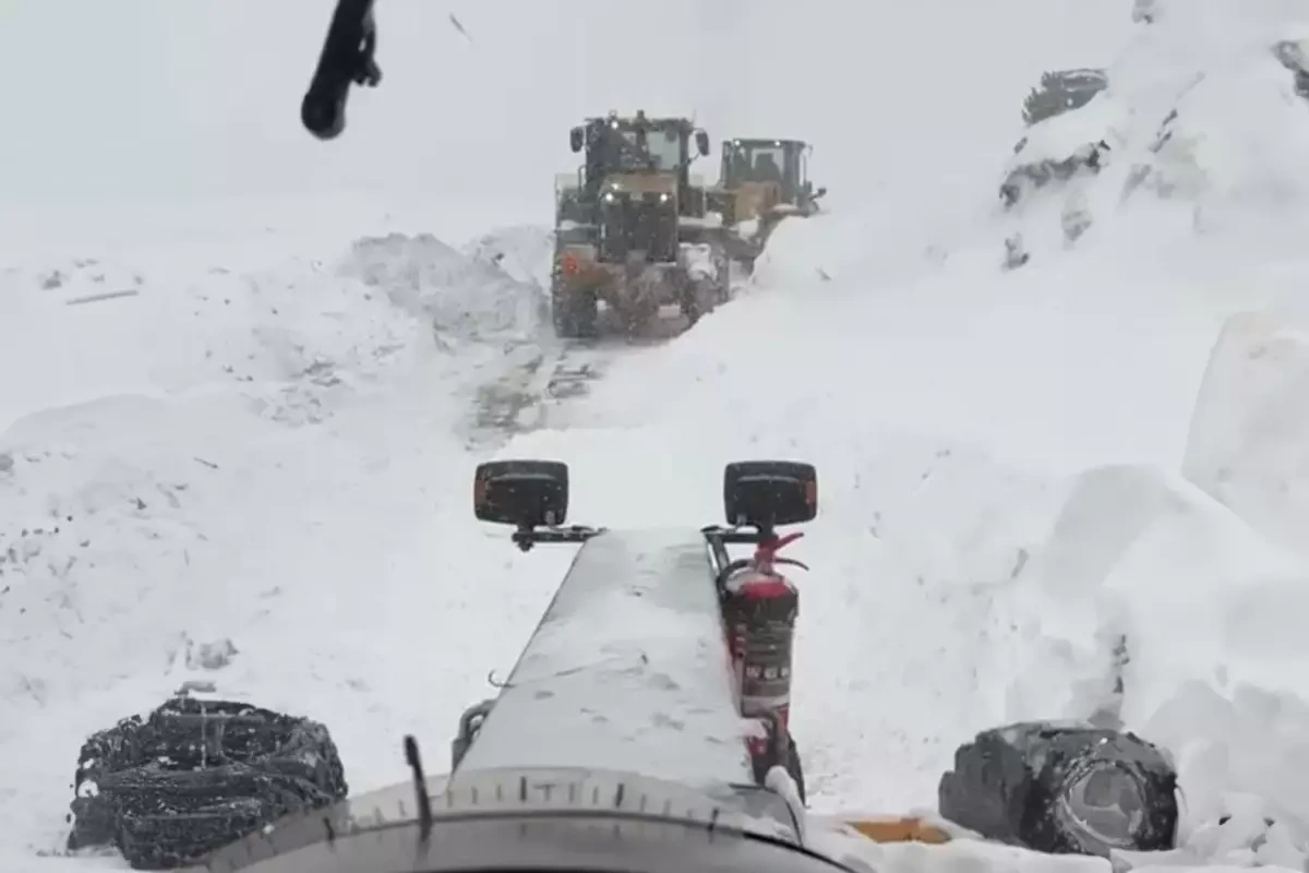 Artvin'de çığ felaketi: 1 çobanın cesedi bulundu, 2 çoban aranıyor