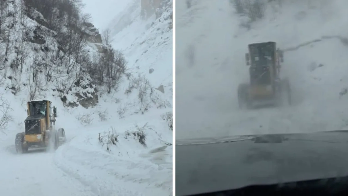 Artvin'de çığ felaketi: 3 çoban mahsur