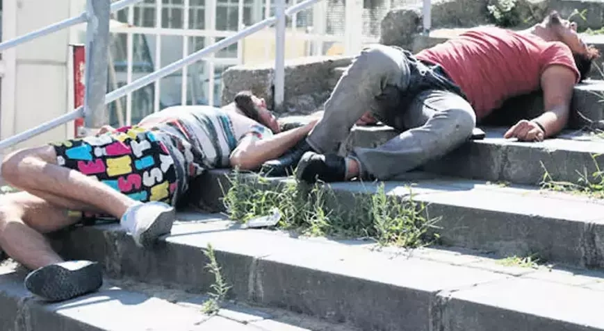 Bonzai alarmı! Ölüm saçan kimyasal uyuşturucu tehdidi büyüyor