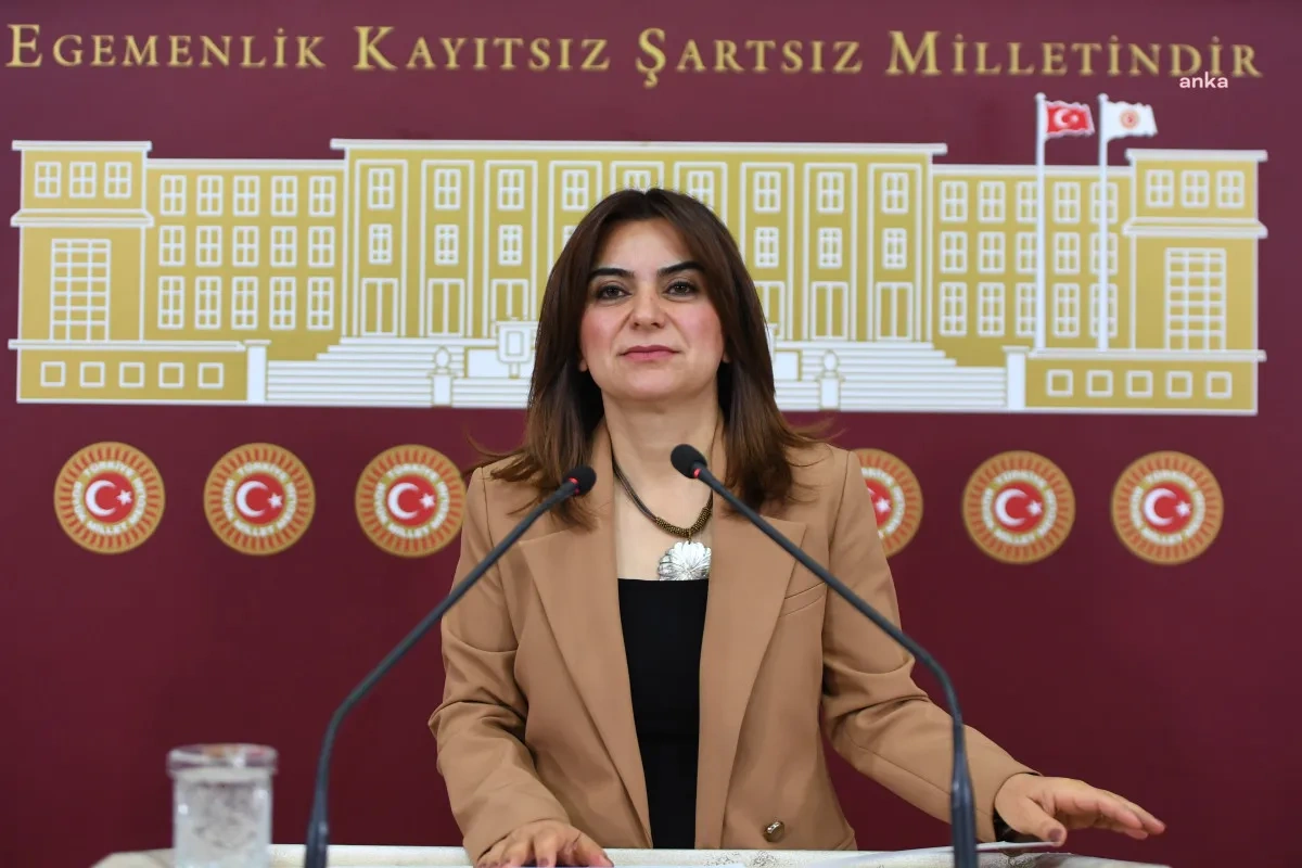 CHP'nin İmralı kararına DEM Parti'den sert yanıt