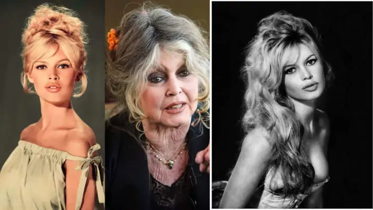 Dünya Sinemasının Efsanesi Brigitte Bardot Hayatını Kaybetti