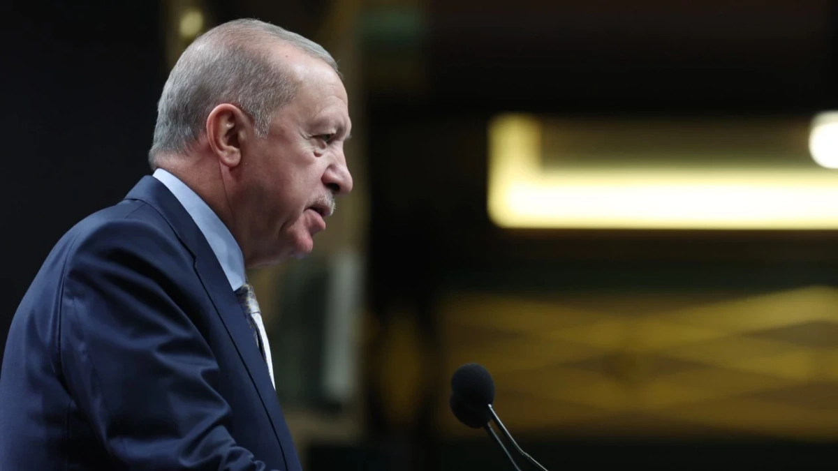 Erdoğan'dan nadir toprak elementi müjdesi: İlk 5'e gireceğiz