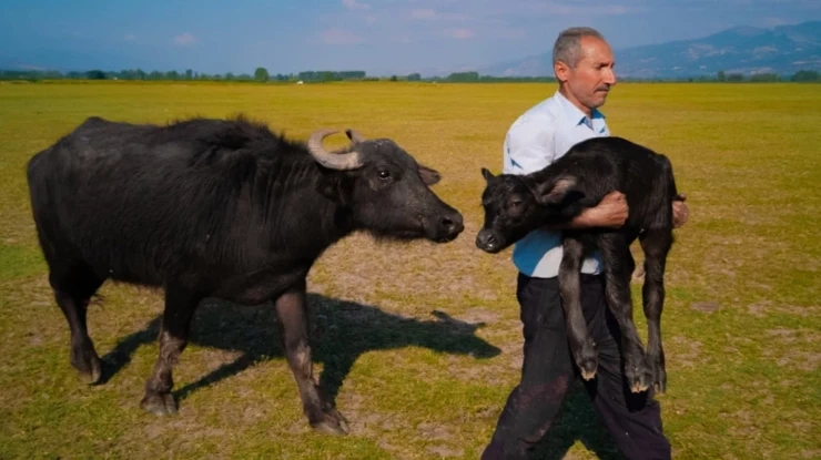 Huawei fotoğraf yarışmasında Türkiye'den büyük başarı