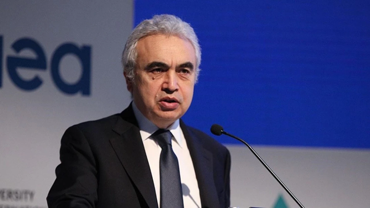 IEA Başkanı Birol: Türkiye'ye birkaç nükleer reaktör daha şart