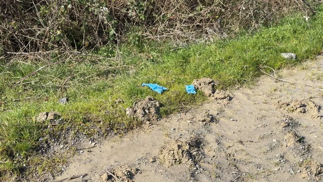 İstanbul'da Çinli iş insanı gasp için öldürüldü: 10 şüpheli Çin'de yakalandı