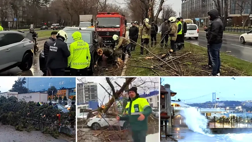 İstanbul'da lodos fırtınası vurdu: Ağaçlar devrildi, çatılar uçtu
