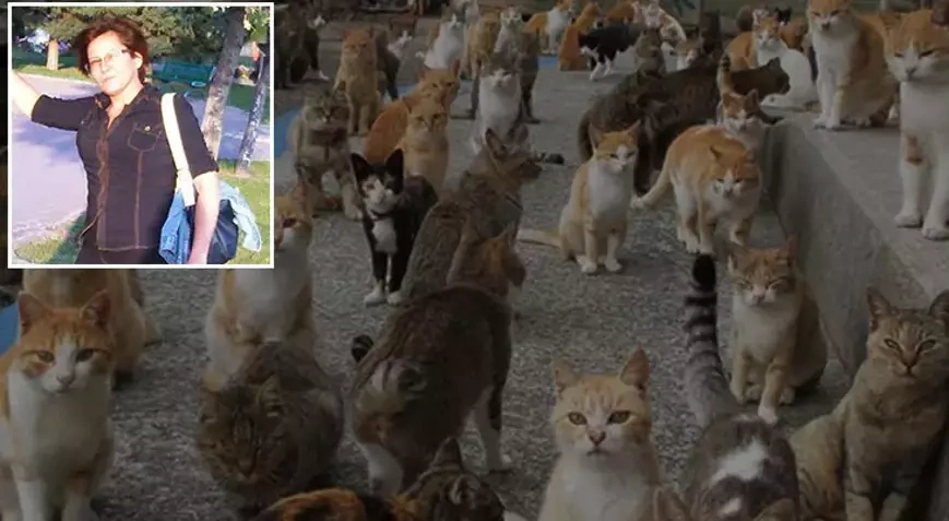 İzmir'de acı olay: Hayvan koruma derneği kurucusu 30 kedisiyle can verdi