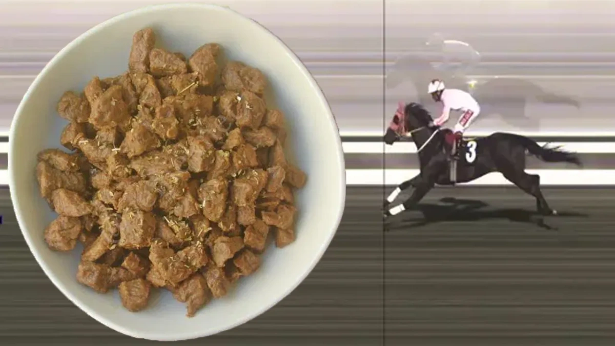 Mersin aşevinde at eti skandalı: 213 kilo kavurma imha edildi