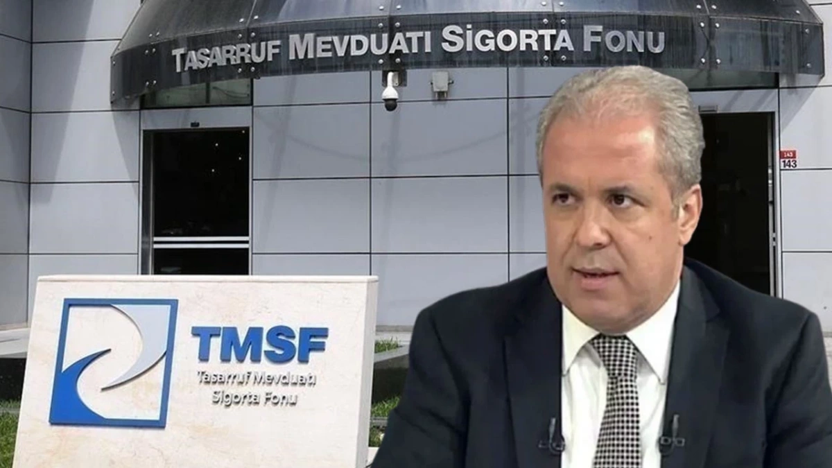 Şamil Tayyar'dan Mehmet Akif Ersoy yorumu: Hatırlı dostları aşamadı