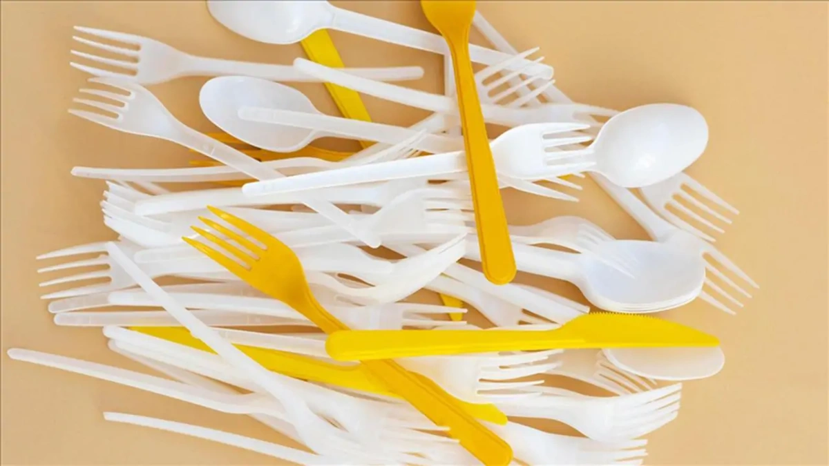Tek kullanımlık plastiğe veda: Yönetmelik yıl sonunda yürürlüğe giriyor