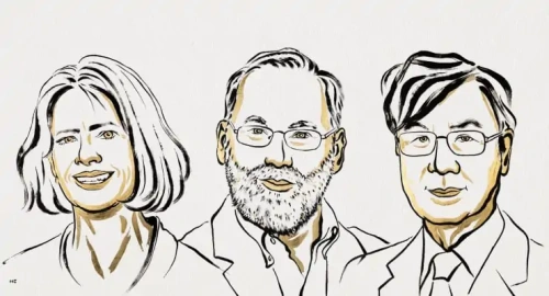 2025 Nobel Tıp Ödülü sahiplerini buldu!