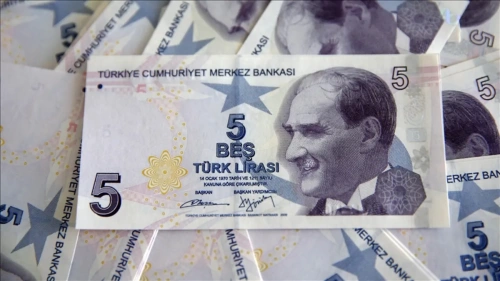 5 Lira'nın arkasındaki isim: Bilim tarihçisi Aydın Sayılı