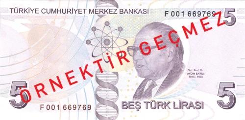 5 Lira'nın arkasındaki isim: Bilim tarihçisi Aydın Sayılı