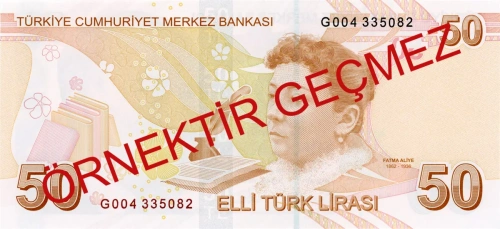 50 Lira'nın arkasındaki isim: Fatma Aliye'nin hikayesi