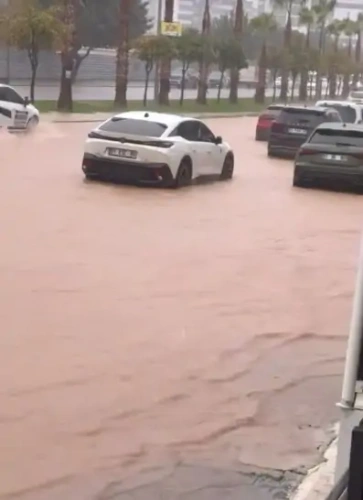 Adana'yı fırtına vurdu: Ağaçlar araçların üzerine devrildi
