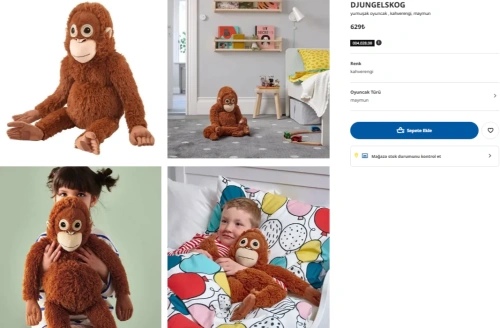 Annesi terk etti, peluş sahiplendi: Yavru maymun Punch dünyayı duygulandırdı