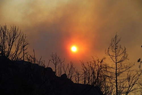 Antalya, Muğla ve Aydın’da orman yangınları: Alevler evlere sıçradı