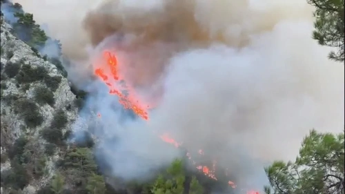 Antalya, Muğla ve Aydın’da orman yangınları: Alevler evlere sıçradı