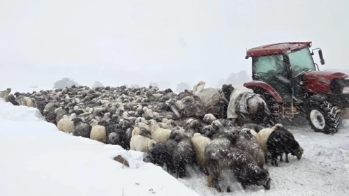 Artvin'de çığ faciası: 2 çoban hayatını kaybetti, 1 çoban aranıyor