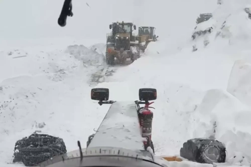 Artvin'de çığ felaketi: 1 çobanın cesedi bulundu, 2 çoban aranıyor