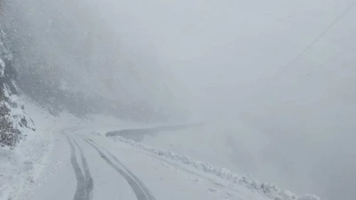 Artvin'de çığ felaketi: 3 çoban mahsur