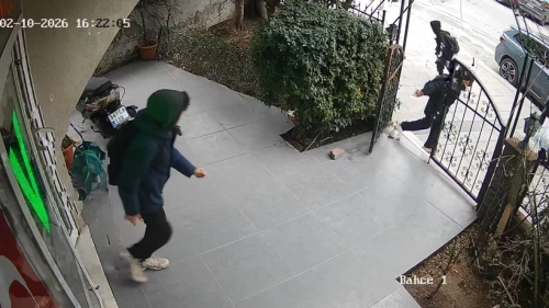 Avcılar'da veteriner kliniğine torpilli saldırı: Çocuklar hayvanları korkuttu