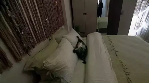 Bakan Kurum'dan deprem konutları açıklaması: 455 bininci ev teslim ediliyor