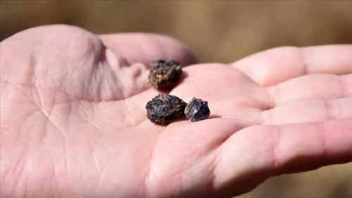 Beylikova tesisi devreye giriyor: 220 milyon dolar gelir hedefi