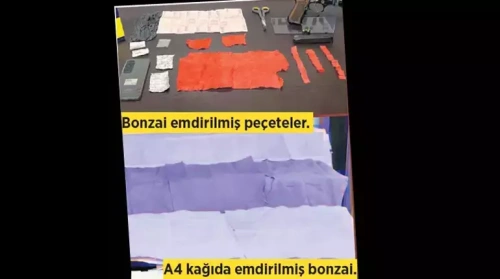 Bonzai alarmı! Ölüm saçan kimyasal uyuşturucu tehdidi büyüyor