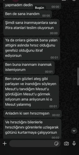 CHP'den istifa eden Özarslan'ın iddiası sonrası Özel'in mesajları paylaşıldı