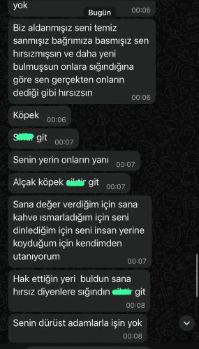 CHP'den istifa eden Özarslan'ın iddiası sonrası Özel'in mesajları paylaşıldı