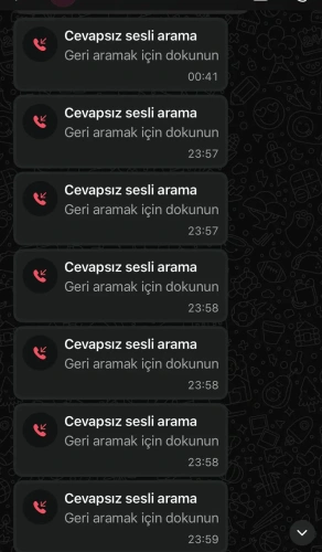 CHP'den istifa eden Özarslan'ın iddiası sonrası Özel'in mesajları paylaşıldı