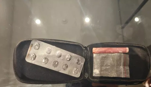 Ciciş kardeşlerden Ceyda Ersoy uyuşturucu operasyonunda gözaltında