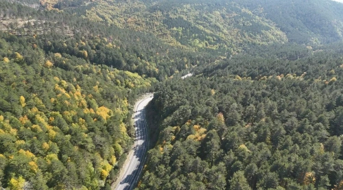 Domaniç Dağları sonbaharla renklendi