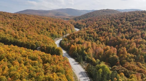 Domaniç Dağları sonbaharla renklendi