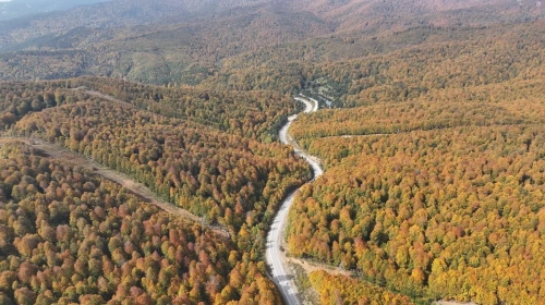Domaniç Dağları sonbaharla renklendi