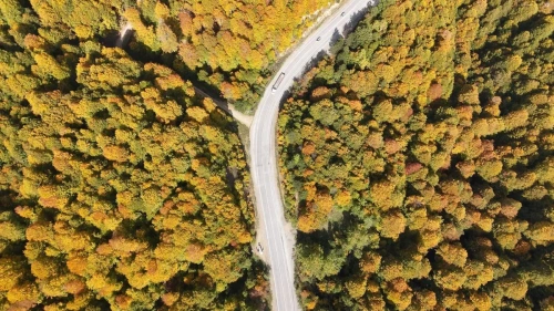 Domaniç Dağları sonbaharla renklendi