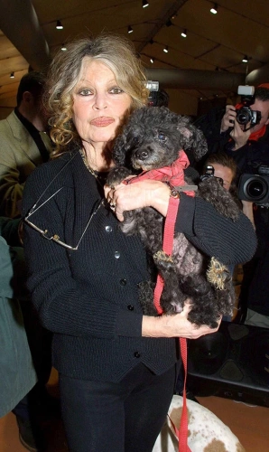 Dünya Sinemasının Efsanesi Brigitte Bardot Hayatını Kaybetti