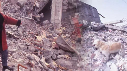 Erzincan'da 5 büyüklüğünde deprem: 242 yıldır sessiz kalan fay endişe veriyor