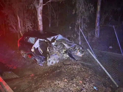 Eşini öldürüp kaza gibi göstermişti! Cani kocaya ağır ceza talebi