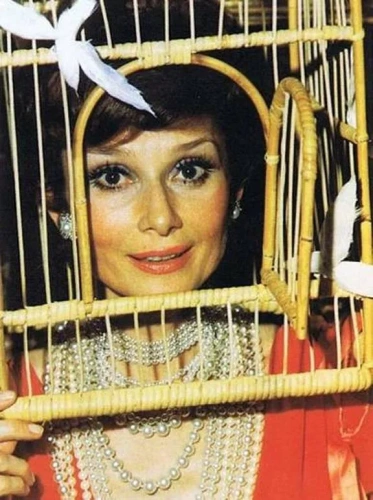 Garipoğlu'nun yalısındaki 'Divine Circus' yazısının sırrı: 1972 Rothschild partisine uzanıyor