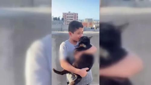 Gazze'den umut dolu ses: 