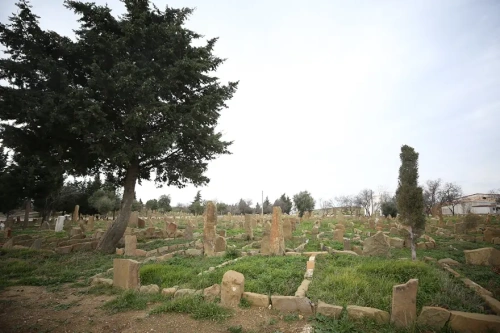 Gelibolu'da tarihi keşif: 8 bin 731 Türk akıncı mezarı bulundu