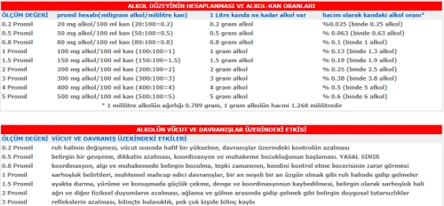 Güllü'nün otopsi raporu çıktı: Kanında 3.53 promil alkol tespit edildi!